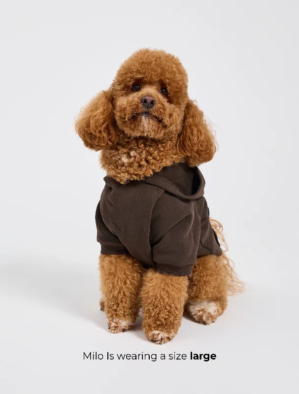 Dog Cloud Hoodie - Cold Brew